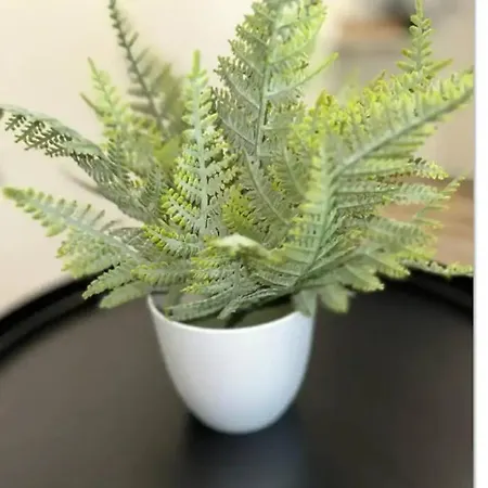 Lerelaisdodile_qsl * Maison * Hypercentre * Free Wifi * Cambrai